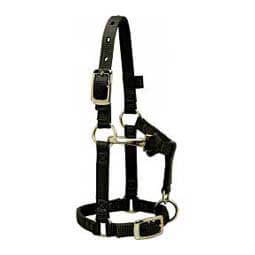 Personalized Mini Nylon Halter  Weaver Leather